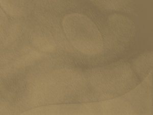 阿里云CDN加速动态文件性能测试